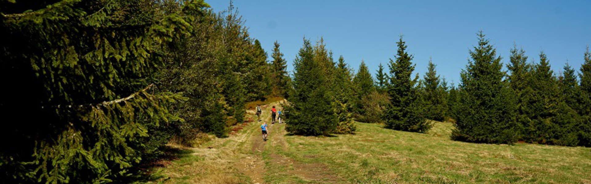 Beskidy mountains