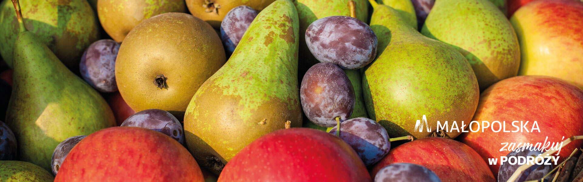 Apples, pears and plums, in any lower corner the logo of Małopolska and the inscription Taste the journey..