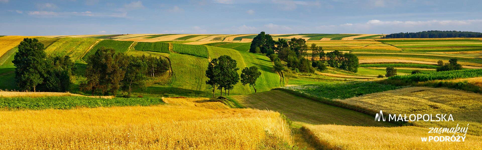 fields with trees in several places