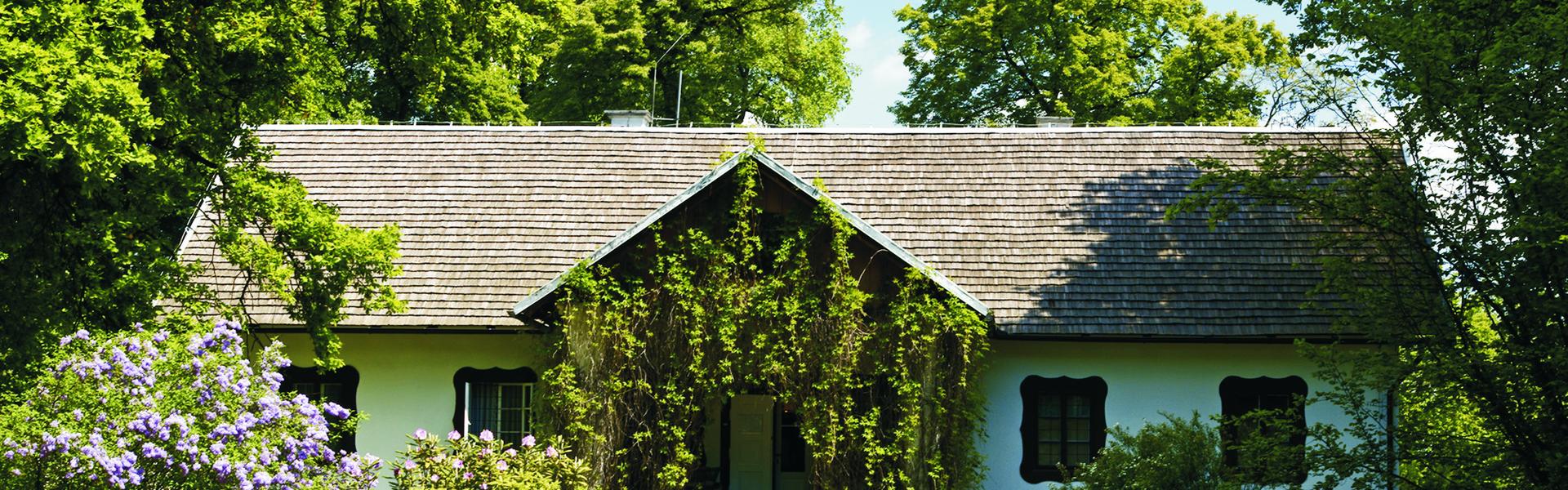 A white manor house with four windows and a porch in the middle. Porch overgrown with green vines. Around the bushes with flowers, trees and green grass. Blue sky.