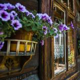 Image: The complex of Goral wooden buildings on Kościeliska St. the oldest street in Zakopane