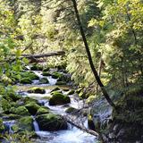 Image: Ochotnica river