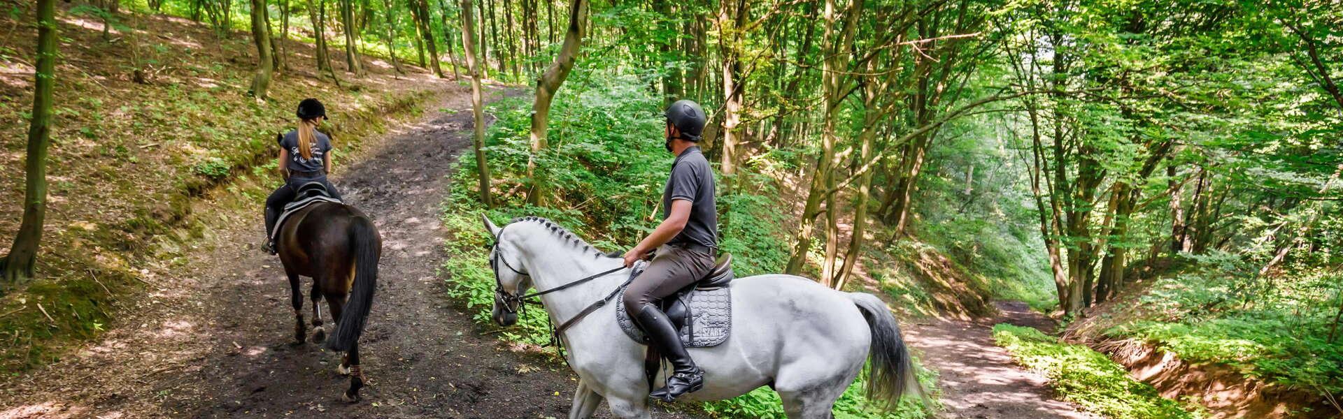 On the Małopolska horse trail