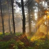 Image: Na szlaku świętego Jakuba… Nordic Walking Park Gmina Słomniki