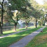 Image: Boulevards on the Soła River