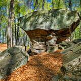 Image: Stone-Mushroom Nature Reserve