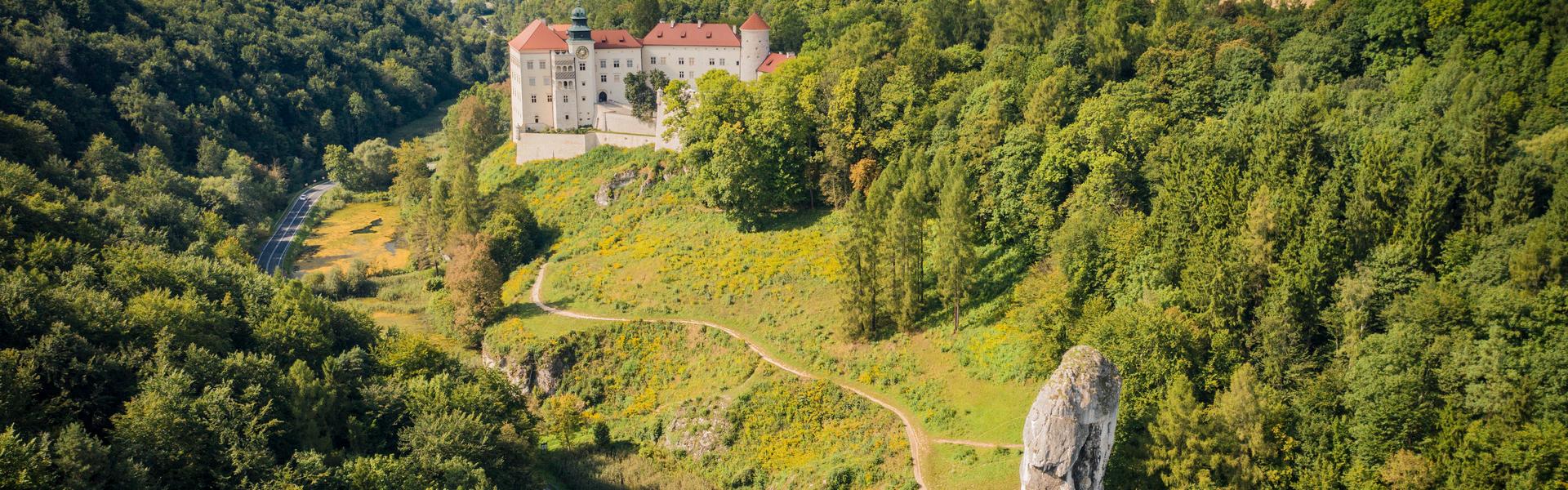 The Castle in Pieskowa Skała surrounded by the forest. Fields in the distance.