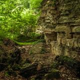 Image: Bukowica Nature Reserve