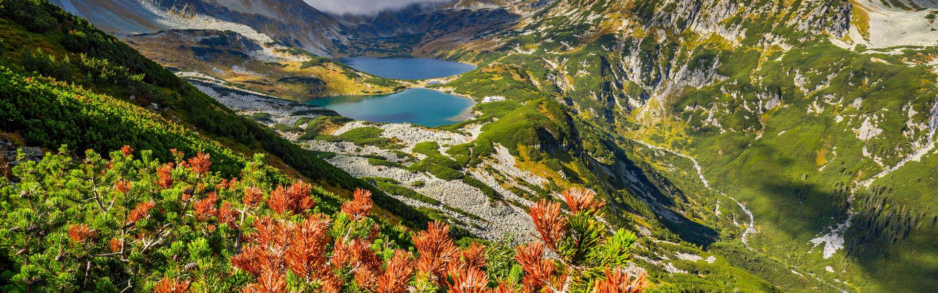 Tatry widok na Dolinę Pięciu Stawów