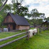 Image: Józef Klimowski's Shepherd's Hut in Czarne