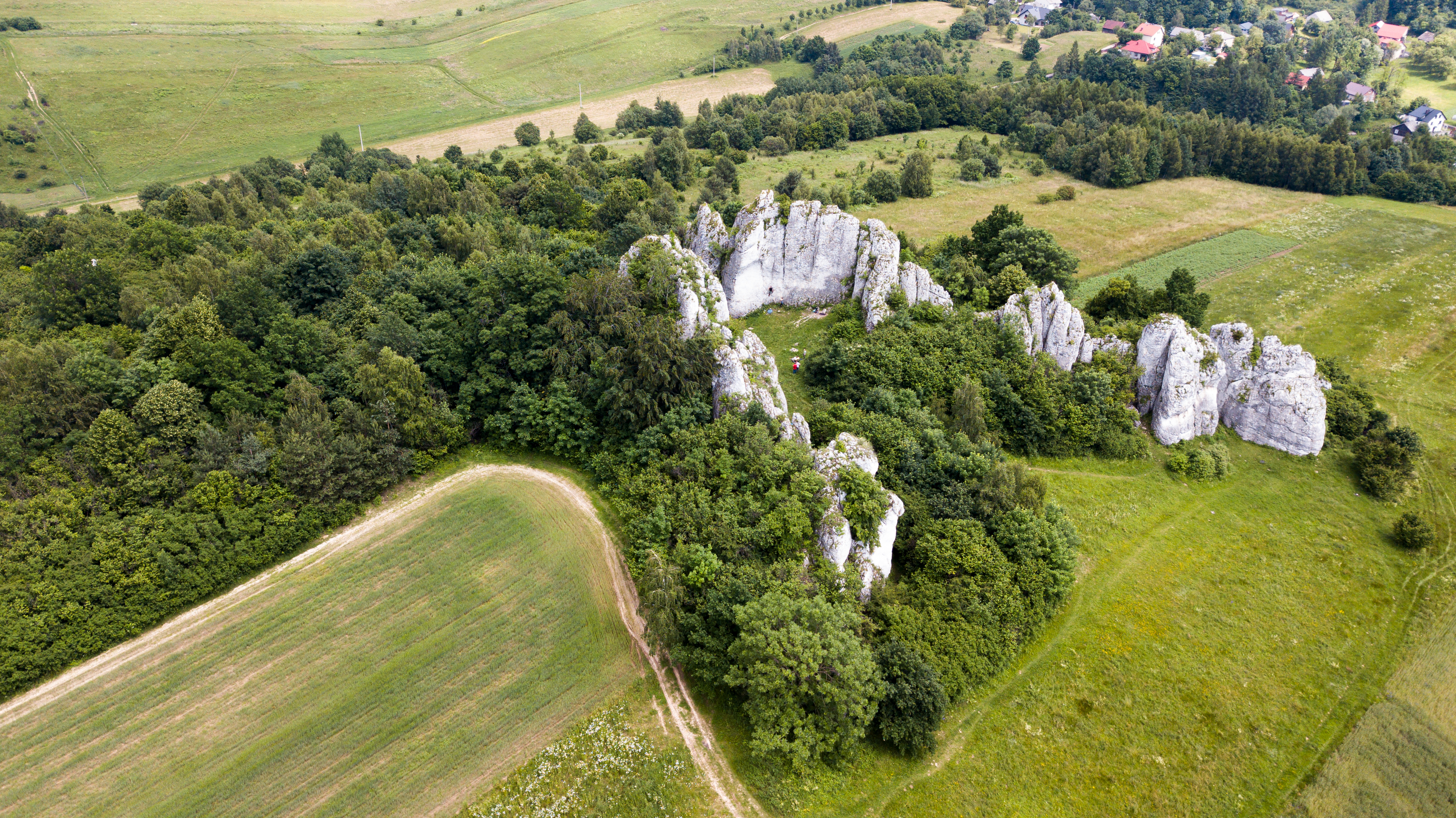 Jerzmanowice Przeginia