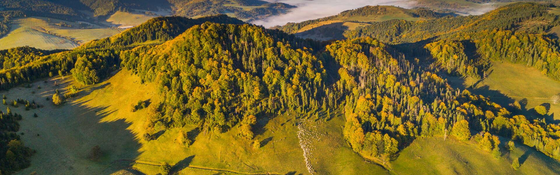 Blick auf die Berggipfel von Pieniny.