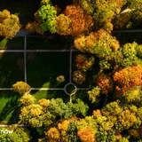 Image: Kościelec Palace Park (Chrzanów)