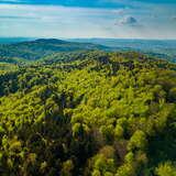 Image: Pasmo Brzanki Landscape Park